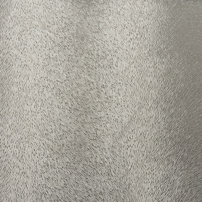 Kravet WHOA NELLY STERLING